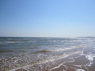 IMG_1739.JPG