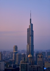 1000066452