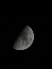 4217F4CB-31F7-49EE-B72F-1D618AACED91/L0/001