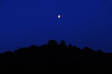 2B6A5F91-5948-49A3-B8E7-9C02596A1775/L0/001