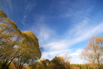 7437.jpg