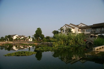 IMGP2973.JPG