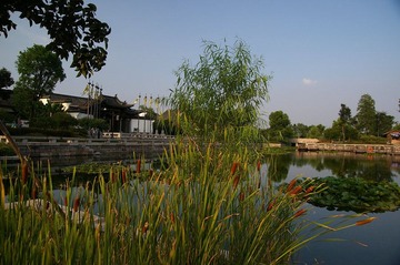 IMGP2971.JPG