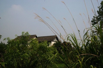 IMGP2801.JPG