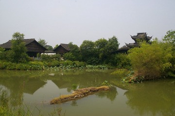 IMGP2846.JPG