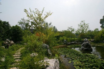 IMGP2908.JPG