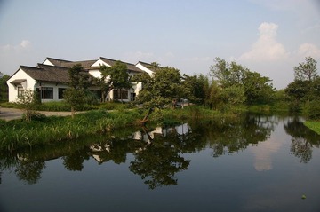 IMGP2968.JPG