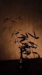 7A740FF8-7935-4ADA-B8E6-2B47518605F3/L0/001