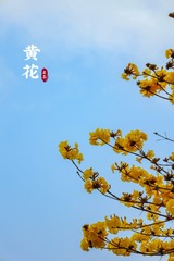 98AA7C77-572C-47E2-9CCE-1ABFC4D3A82E/L0/001