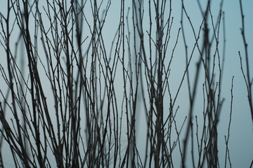 73347D3D-E9F4-428D-85F6-5A1C2CC3E20F/L0/001
