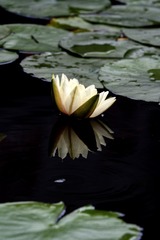 739EFFA3-C2BA-4D7A-B664-7C68EA5E96CA/L0/001