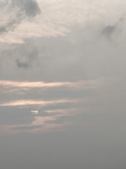 1000013161