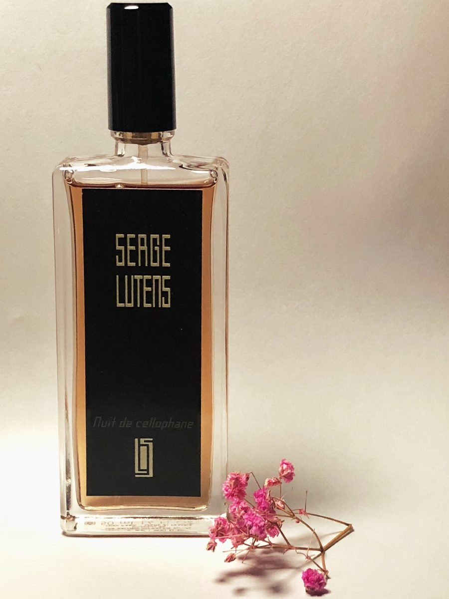 今日练习静物一组