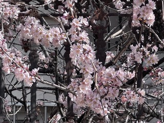 B6952960-111E-4B95-9BA7-56DB2C1550A2/L0/001
