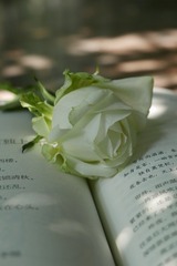 08282931-DB82-4822-BEDB-E501FDA49B1A/L0/001