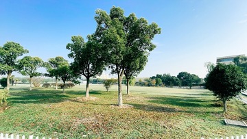 F11C3BFB-4C7E-4271-AF4A-DD0553DF0F67/L0/001