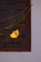 02BF7886-0FED-4F6C-B35B-FCD294B03F49/L0/001