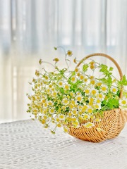 D64B0E4C-DEEF-4E8B-B3DB-09C712808EA9/L0/001