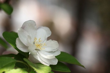 nEO_IMG_IMG_1392.jpg