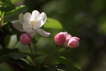 nEO_IMG_IMG_1412.jpg