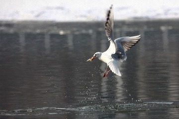IMG_03621.jpg