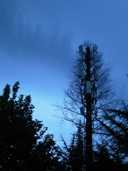 9C9C1B40-1511-47B1-85C2-9F661BD55429/L0/001
