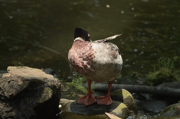 EB32208D-C6C7-48BA-AF3A-27415FFC51A7/L0/001