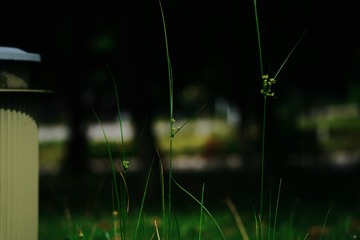 AD38C99F-DC2B-4A77-99ED-34AA54DF313E/L0/001