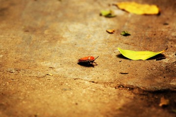 IMG_7620.jpg