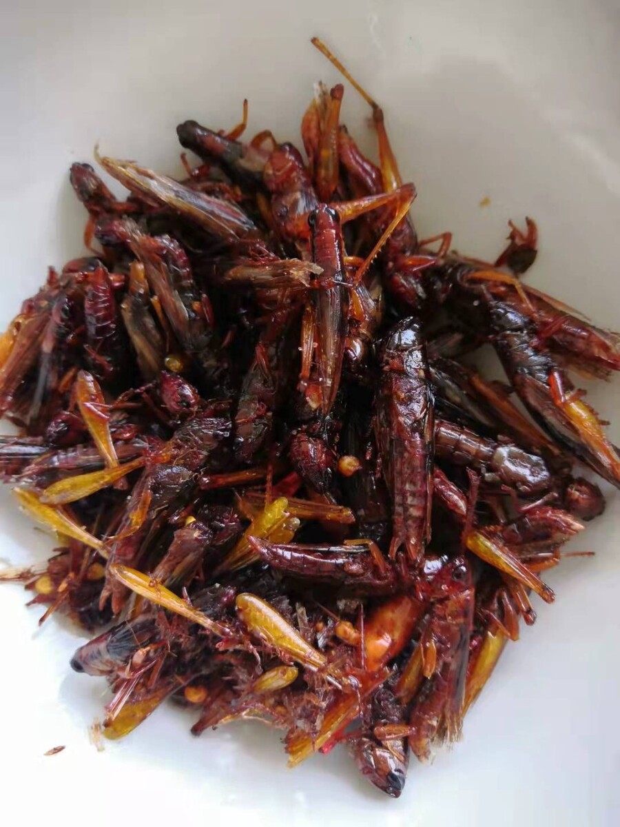 蚂蚱，好吃鲜美，美味！