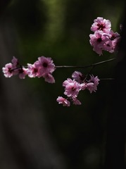 1404569