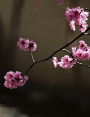 1404573