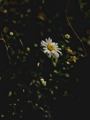 1409214