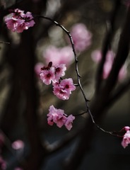 1404574