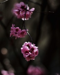1404576