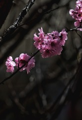 1404561