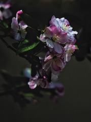 1407063