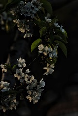 1406470