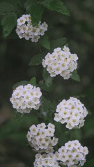 188E0776-E80B-4E9B-A7C1-0391EF7DA0FC/L0/001