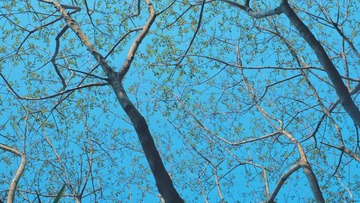7CD6261B-98B9-46AD-ADCD-0CB29FC43AEC/L0/001