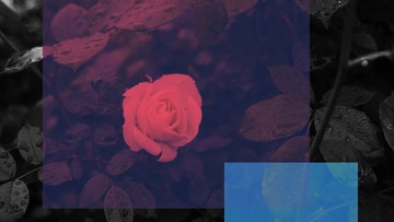 3DDBCFED-88A3-47CD-BADD-B426A545C396/L0/001