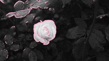 A6E9E948-36F1-42C9-9470-774A9F5D5AE7/L0/001