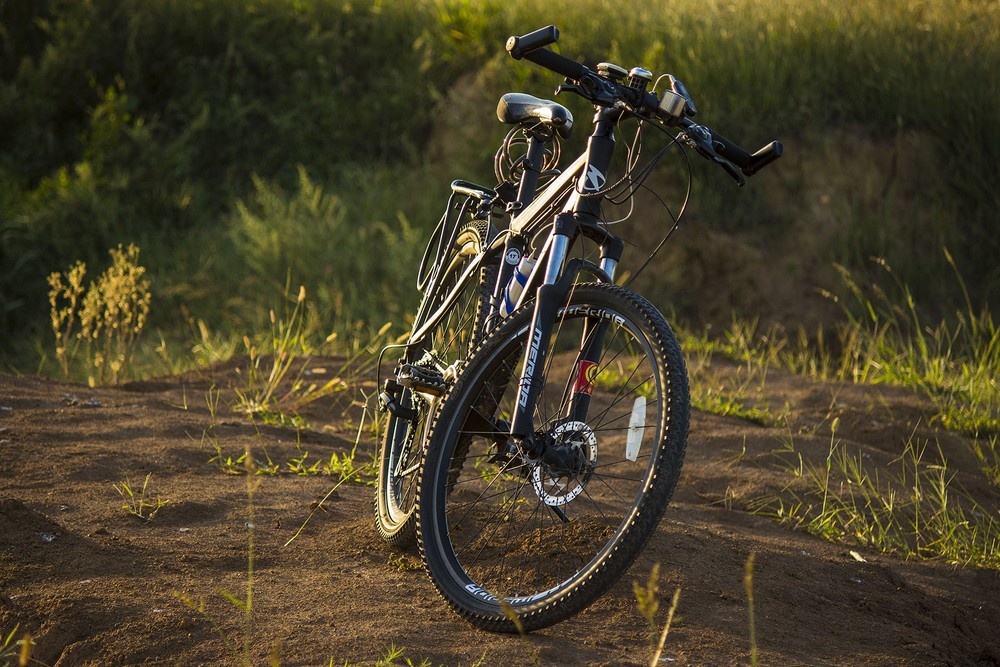 逆光--作者:无际 可寻,来源:zol - 色彩, 佳能, 静物