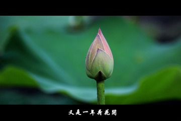 紫竹院 (5).jpg