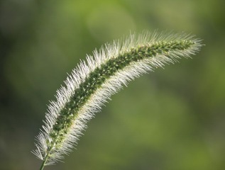IMG_5656.jpg