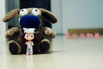 DSC01939_副本.jpg