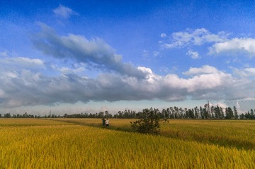 _DSC2252.jpg