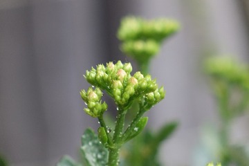 4B483838-BA10-40EF-91C6-796792184201/L0/001