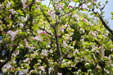 DSC_0915.jpg