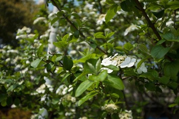 DSC_0940.jpg
